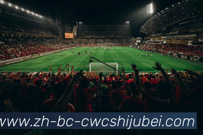 多媒体互动体验